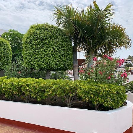Ocean Breeze And Seaview Resort Costa Adeje  Eksteriør billede