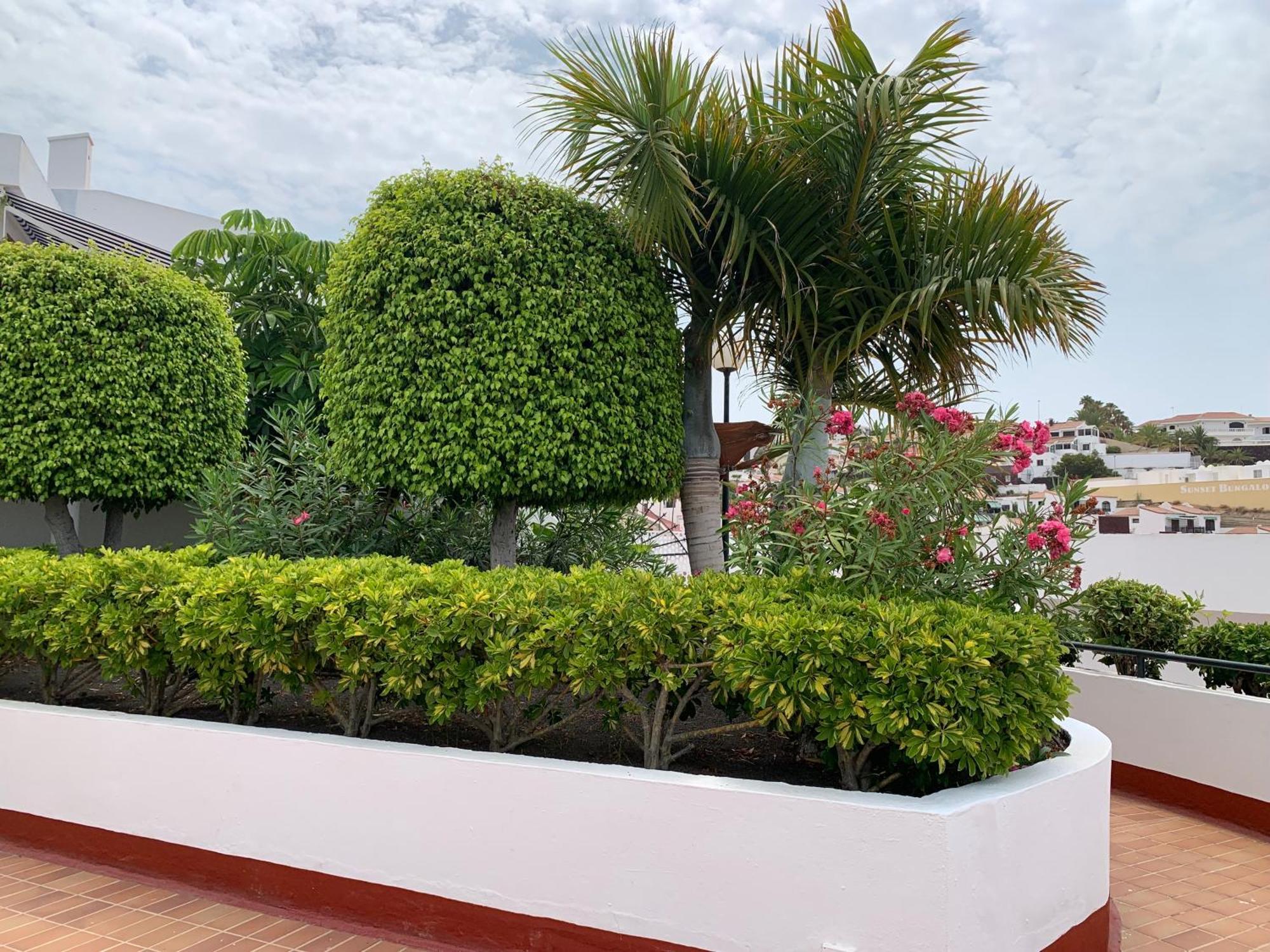 Ocean Breeze And Seaview Resort Costa Adeje  Eksteriør billede